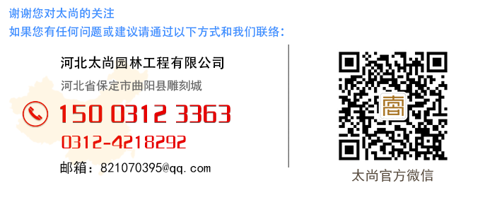 云顶集团3118(中国)官方网站