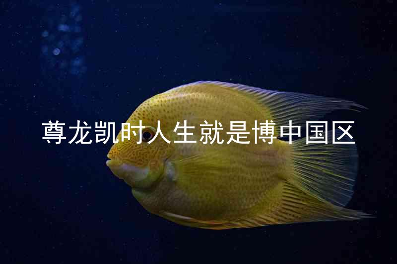 尊龙凯时人生就是博中国区