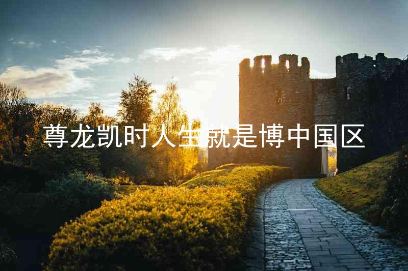 尊龙凯时人生就是博中国区