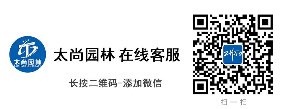 云顶集团3118(中国)官方网站