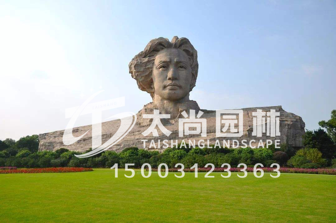 云顶集团3118(中国)官方网站